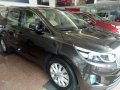 Kia Grand Carnival 2017 for sale-0