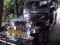Toyota Owner Type Jeep Manual Silver For Sale -0