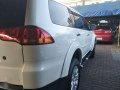 2009 Mitsubishi Montero Sport FOR SALE-3