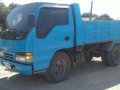 Isuzu Elf minidump for sale-1