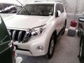 Well-maintained Toyota Land Cruiser Prado 2014 for sale-2