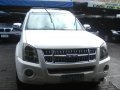Isuzu Alterra 2009 for sale-2