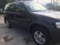 Ford Escape 2004 for sale-2