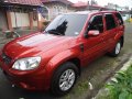 Ford Escape 2013 for sale-2