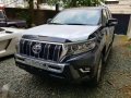 2018 Toyota Land Cruiser for sale-0