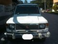 Mitsubishi Pajero Wagon for sale-0