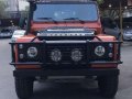 Land Rover Defender 1990 for sale-2