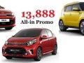 Brand New Kia Picanto for sale-2