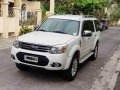 Ford Everest 2014 LIMITED M/T for sale-9