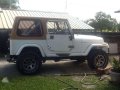 Wrangler Jeep 4X4 for sale-1
