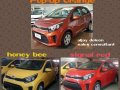 Brand New Kia Picanto for sale-2