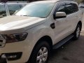 2017 Ford Everest for sale -1