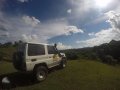 Toyota Land Cruiser 1970 for sale-3