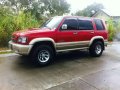 Isuzu Trooper LS 2003 for sale-5