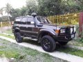 Toyota Land Cruiser 2003 for sale-0