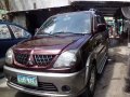 Mitsubishi Adventure GLS Sport 2008 Model for sale-0