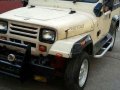 Wrangler Jeep for sale-1