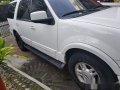 2004 Expedition All Power Strong Dual Aircon Vnice-2