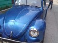 Well-maintained Volkswagen Beetle 1975-1