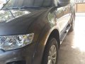 Mitsubishi Montero glx mt. 2014 Color Quarth brown-2