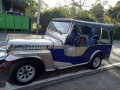 1995 Toyota Owner Type Jeep for sale-1