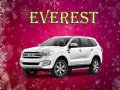 2018 Ford Everest for sale-0