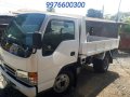 Isuzu Elf 2008 for sale-1