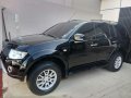2010 Mitsubishi Montero for sale-2