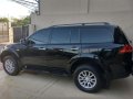2010 Mitsubishi Montero for sale-3
