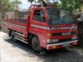 Well Kept Isuzu Elf for sale-2