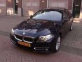 2014 BMW 520d for sale-3