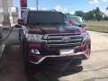 For Sale 2018 Toyota Land Cruiser-3