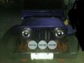 Owner Type Jeep 1994 for sale -10