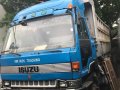 Isuzu Dump Truck 1990 for sale -0