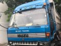 Isuzu Dump Truck 1990 for sale -2