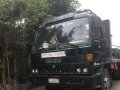 Isuzu Vx4 Cargo Truck 1990 for sale-1