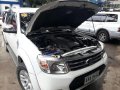 2015 Ford Everest for sale-2