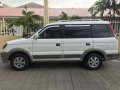 Mitsubishi Adventure GLS 2012 Manual For Sale -10