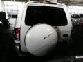 Isuzu Crosswind 2010 for sale-4