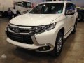 2017 Mitsubishi Montero for sale-2