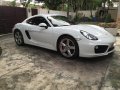 Porsche Cayman 2014 for sale-0