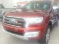 Ford Everest 2018 for sale-0