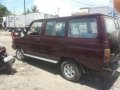 Toyota Tamaraw FX Deluxe Diesel 1996  for sale -2