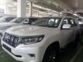 Toyota Land Cruiser Prado 2018 brand new with unit on hand-1