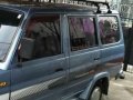 Toyota Tamaraw fx GL 1996 for sale -0