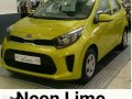 13K All In Down payment 2018 Kia Picanto-2