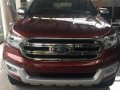 Ford Everest 4x2 2.2L AT Titanium Premium For Sale -4