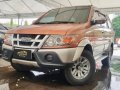 Isuzu Crosswind 2010 for sale-2