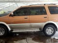 Isuzu Crosswind 2010 for sale -6
