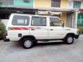 Toyota Tamaraw FX GL 1995 White For Sale -0